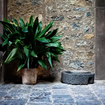 Casa La Carrubbazza Hotel San Gregorio di Catania